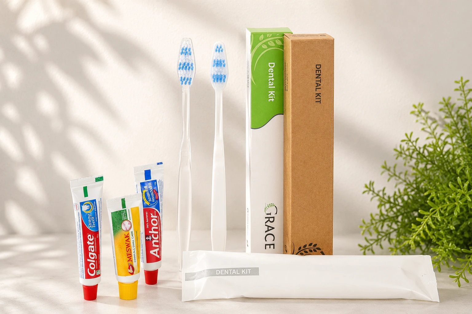 Dental Kit